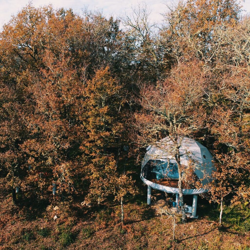 The Unique Benefits of Sleeping in Glamping Domes