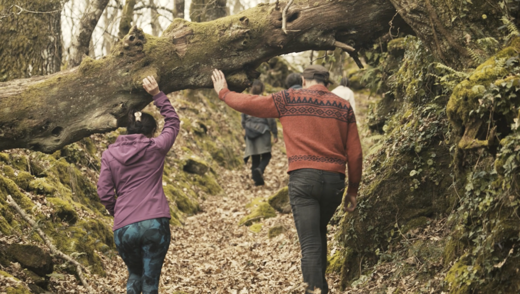 Forest walks organised at O Castro Art Village